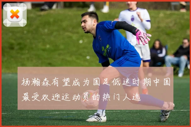 杨瀚森有望成为国足低迷时期中国最受欢迎运动员的热门人选